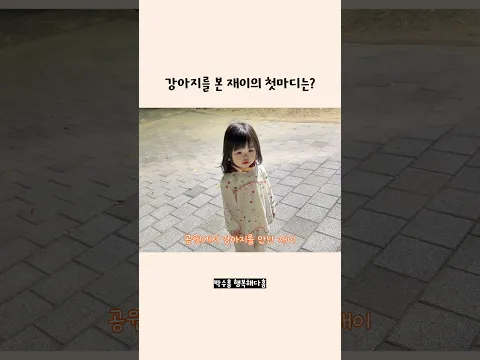 강아지에게 재이가 해준 말 🤣 #박수홍 #재이 #행복해다홍
