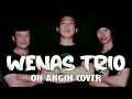 Download Lagu WENAS TRIO - OH ANGIN COVER