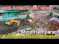 Lagu MANTAP❗️AKHIRNYA SATU SISI KAMPUNG KARANG SINOM BERSIH TANPA BANGLI BANGLI KERJA BAGUS PARA KADES