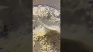 وهذا النشا بدون ماي حطيته فالفرن والفريزر بس م خليته وايد عشان جي الحبات صغيره  وهذا النشا بدون ماي حطيته فالفرن والفريزر بس م خليته وايد عشان جي الحبات صغيره