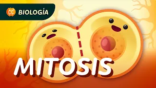 Mitosis y el ciclo celular: Crash Course Biología #29