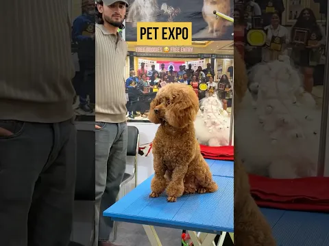 Free Goodies for Pet Parents at Pet Expo 2026
