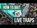 How to Bait Live Animal Traps Live Trapping Tips