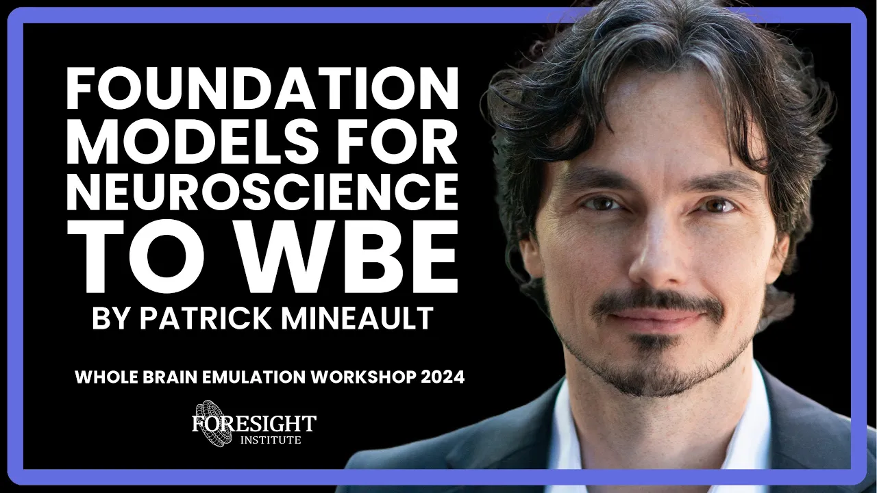 Patrick Mineault | Foundation Models for Neuroscience to WBE @ Whole Brain Emulation Workshop 2024