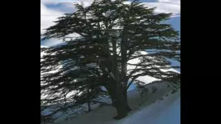 والله لطلع علئ لبنان 