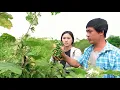 Download Lagu Phuong started life from zero Man tried every way to help Phuong