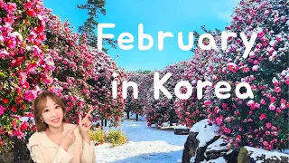 Ultimate Guide to Korea in February weather travel tips what to do