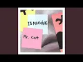 Lagu Mr. Cat