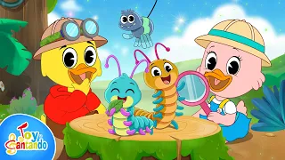 La Canción de los Bichitos 🐞 | Cuida los Insectos con La Patita Lulú | Toy Cantando