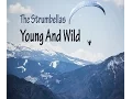 Download Lagu The Strumbellas - Young And Wild (LYRICS)
