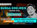 Download Lagu BUNGA EDELWEIS_Thomas Arya || KARAOKE REMIX PALEMBANG