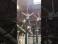 Silks Intermediate - Unit 4