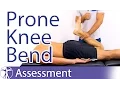Reversed Lasègue or Prone Knee Bending Test