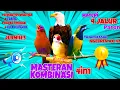 Download Lagu 🔴Kombinasi Masteran Ampuh Untuk Burung Lomba |Materi Paling Di Cari Juri!!#kombinasimasteranampuhmp3