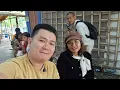 Download Lagu Tình hình Visa của Đoàn Bộ Hành 09/07