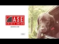 ASE Credit Union