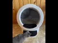 My Litter Robot 4 Review Unpacking Setup Wifi Onboarding