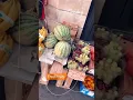 Download Lagu Fresh Fruit Stall in Paris