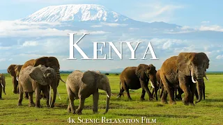 Kenya Masai Mara 4K Scenic Wildlife Film With African Music 
