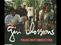 Gin Blossoms - Found Out About You