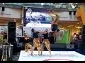 Download Lagu 1st WINNER DANCE - The Best Dance - GOG Crew
