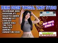 Download Lagu REMIX ORGEN TUNGGAL TANDY STUDIO❗Lagu jawa terbaru viral❗Selendang biru, Kesucian ati, Tau tatu