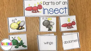 Engaging Insect Activities and Printables for Kindergarten and First Grade