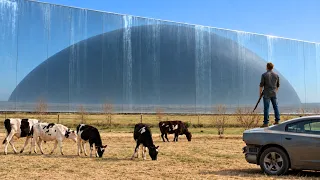 MYSTERIOUS WALL isolates a city from the REST OF THE WORLD before TOTAL DESTRUCTION