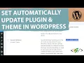 How to Enable Automatically Updates for Plugins and Theme using Custom Code in WordPress Update