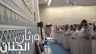 القطامي نبرة هادئة العنكبوت 1436 