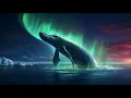 Whales - Ambient Relaxing Music, Healing, Meditation, Sleep, Study, Aurora Borealis, Northern Lights