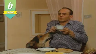 مشاهد هتضحكك من قلبك بصوا ازاي كانت ردة فعل ونيس لما عرف بموضوع الكلب يوميات ونيس 