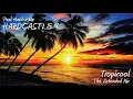 Download Lagu Paul Hardcastle - Tropicool (The Extended Mix)