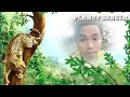Cinta seumur jagung