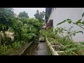 Download Lagu KEBUN ORGANIK KEBUN SAMPING RUMAHKU | AL-FATIHAH