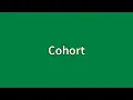 Cohort Meaning