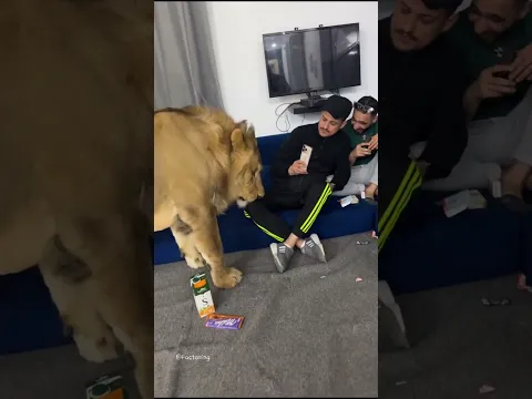 Koi Nhi Rok Sakta🤣🤣 #funny