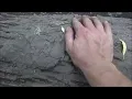 Playing patty cake with Sasquatch - Mud prints and structures