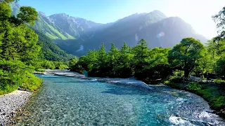 Turquoise Mountain River at Dawn - Pure Water Sounds No Birds Peaceful Nature Ambience for Sleep