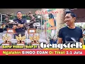 Download Lagu SINGO EDAN KALAH !! MURAI BATU GENGSTER JUARA 1 PIALA PAKUALAM 11 KELAS PANGERAN
