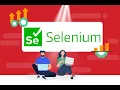 Selenium Launch of Browser in version 3