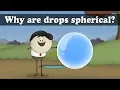 Download Lagu Surface Tension - Why are drops spherical? | #aumsum #kids #science #education #children