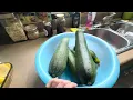 Squash water bath canning day the season has finally arrived