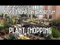 Boyce Thompson Arboretum Plant shop with me