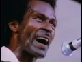Chuck Berry - Too Much Monkey Business (Live At The Toronto Peace Festival, Canada 1969) (HD 60fps)