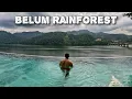 Download Lagu Belum Rainforest Resort is epic