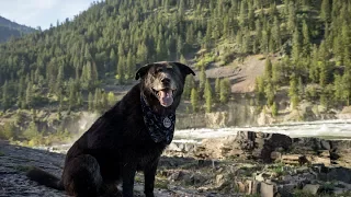 Old Dogs and Big Adventures – Pushing North 83