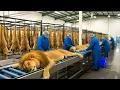 Lagu Inside Lion Leather Factory Process | From Raw Hide to Luxury Leather (Full Manufacturing)