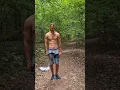 Alone in the Forest 😏