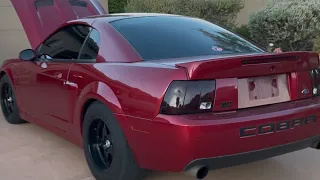 The new 2004 redfire terminator cobra